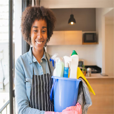 Femmes ménagères